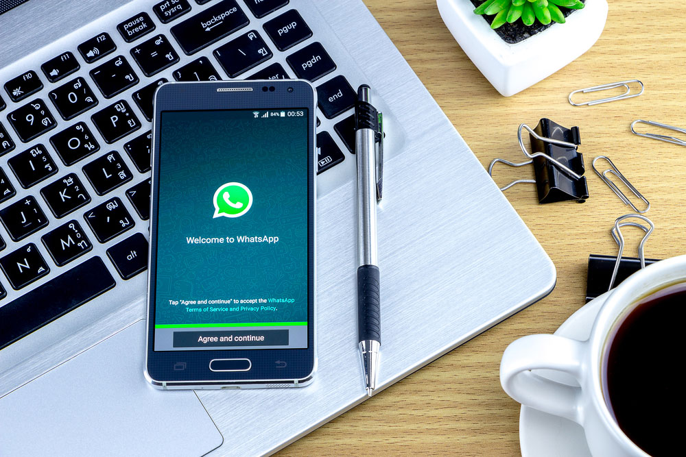 Como criar uma conta comercial no WhatsApp - conta comercial no whatsapp para vender
